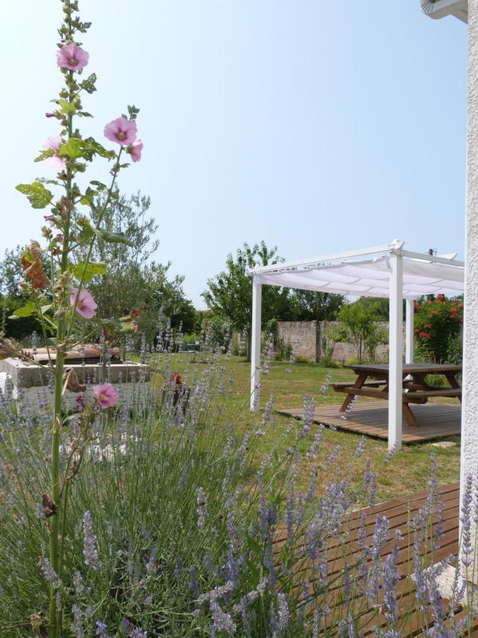 Gite Le Cherche Midi Gaillac Exterior photo